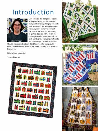 Book, Jelly Roll Quilts for All Seasons # 1415221