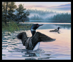 Fabric Panel, Loons in the Lake 8916E-Black
