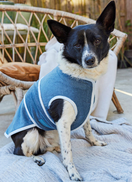 Pattern, Burda, 5702, Pet Accessories