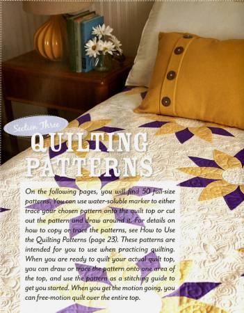 Book, Beginners Guide to Free-Motion Quilting     # 10861