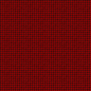 Fabric, Beary Merry Christmas, Buffalo Check, Red Black  #27065-24