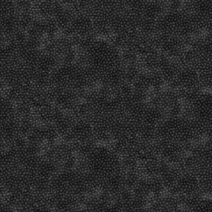 Fabric, Canadian Classics 3, Black 28785-99
