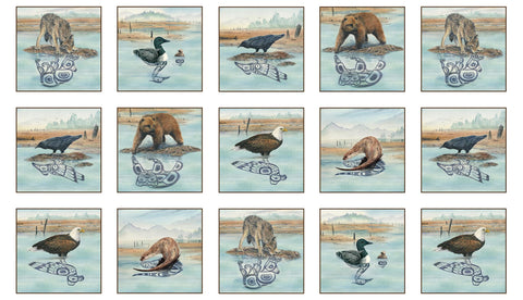 Fabric, Panel, Native Reflections