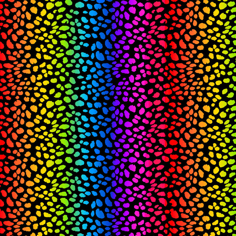 Rainbow Cats