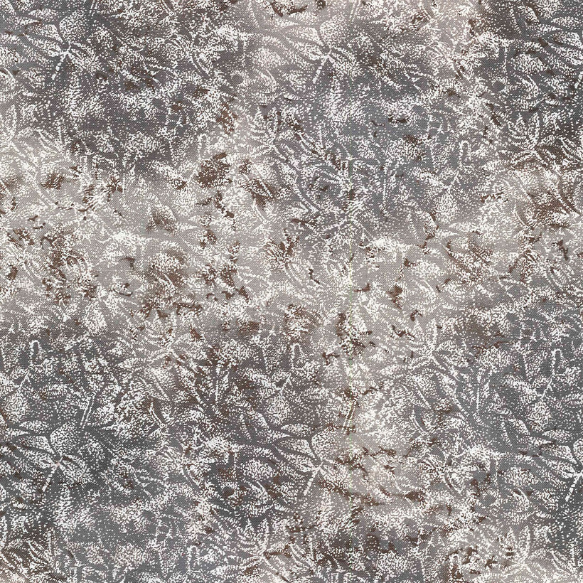 Fairy Frost