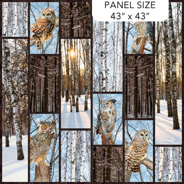 Fabric Panel, Naturescapes Solitude Barn Owl DP26770-38