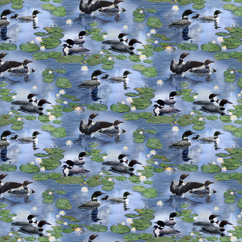 Fabric, Naturescapes Still Waters Allover Loons DP26792-44