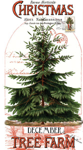 Panel, Classic Christmas, Christmas Botanical, PD16280-PANEL