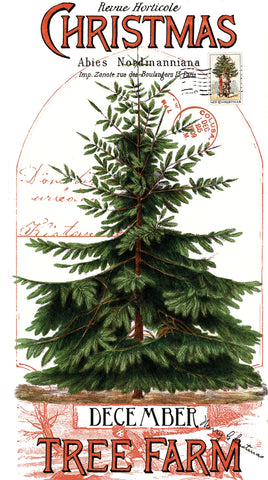 Panel, Classic Christmas, Christmas Botanical, PD16280-PANEL