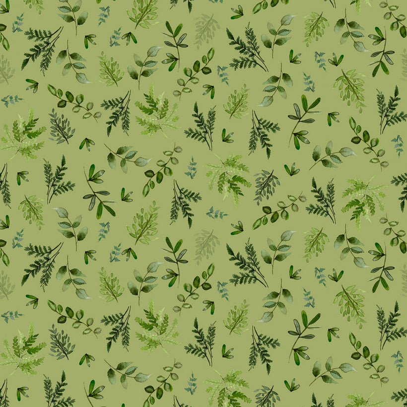 Wild Wonder
