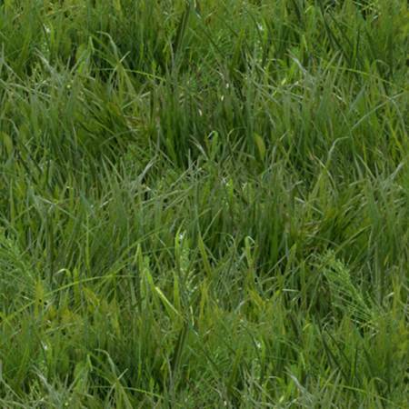 Fabric, Green Grass