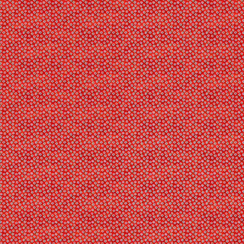 Fabric, Quilts and Kuspuks Red 25208-24