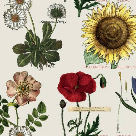 Fabric, Art Journal Botanicals: Light Gray CD13038R