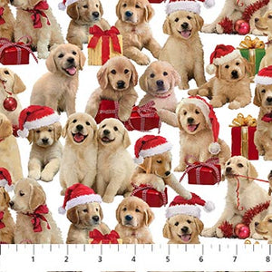 Fabric, Christmas, Golden Christmas: White Labrador Puppies  DP25293-10