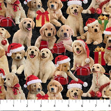 Fabric, Christmas, Golden Christmas: Black with Labrador Puppies  DP25293-99